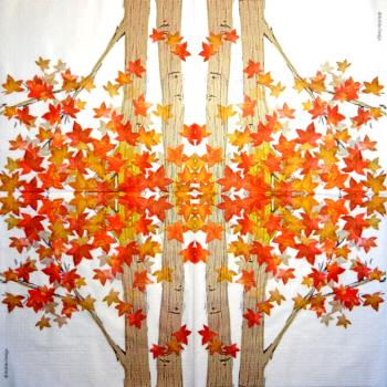 254 Autumn - 3-ply - ppd - Rafale Design